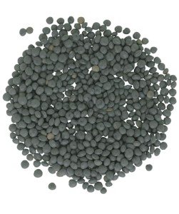 Black Beluga Caviar Lentils - Premium Non-GMO Delight