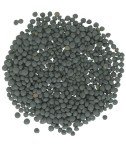 Black Beluga Caviar Lentils - Premium Non-GMO Delight