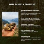 Tarella Exotica Wild-Harvested Dried Morel Mushrooms 1.5 oz