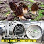 Dried Morel Mushrooms 2.47 Oz - Natural Flavor