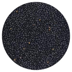 Black Beluga Lentils - 2.5 Pound Bag