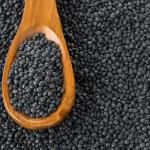 Black Beluga Lentils - 2.5 Pound Bag