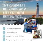 Maine Lobster Tails and Kobe Flat Iron Steaks