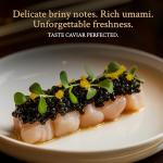 Premium Sevruga Black Caviar - Rich & Elegant