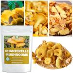 Dried Chanterelle Mushrooms - All-Natural Slices