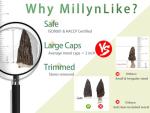 MillynLike Premium Dried Morel Mushrooms - 2 Pack