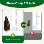 MillynLike Premium Dried Morel Mushrooms - 2 Pack
