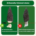 MillynLike Premium Dried Morel Mushrooms - 2 Pack
