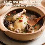 Greenfocus Dried Morel Mushrooms - Intense Umami Flavor