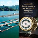 PETRUSCO Premium Beluga Caviar - 250g Metal Tin
