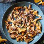 Dried Chanterelle Mushrooms - Rich Umami Flavor