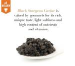 KASPIAN Premium Osetra Black Caviar - 8.8 oz
