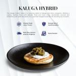 Kaluga Hybrid Caviar 50g - Rich Flavor