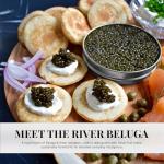 Kaluga Hybrid Caviar 50g - Rich Flavor