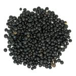 Organic Black Lentils – Non-GMO, Protein-Packed, 25 lb