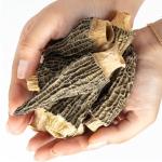 Premium Dried Morel Mushrooms, 2 oz, Gluten-Free