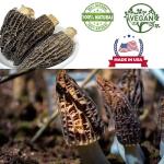 DABC OAK LAND Premium Dried Wild Morel Mushrooms, Wild Harvested, Rich Umami Morchella Conica for Gourmet Cooking, Soups, Pasta,Rich in Nutrient, Dehydrated Mushrooms Suitable for Vegetarians 4OZ/Bag