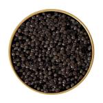 Beluga Black Caviar 1.76 Oz - Gourmet Delicacy