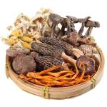 Mushroom Soup Pack with Varied Mushroom Types