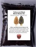 Black and Yellow Morel Mushroom Growing Kit