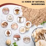 Dried Mixed Mushroom Powder - 11 Chef's Blend