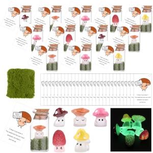 Mini Mushroom Appreciation Gifts for Team Building