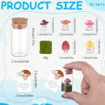 Mini Mushroom Appreciation Gifts for Team Building