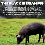 Sliced Ibérico Ham, Hand-Carved Green Label, 3 Pack