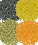 Lentil Variety Pack: Black, Red, Yellow, Green