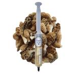 True Morel Liquid Culture 20mL for Mycology