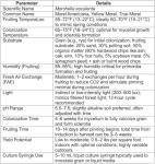 True Morel Liquid Culture 20mL for Mycology