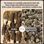 Hee Creek Dried Wild Morel Mushrooms 60g