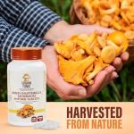 Crown Fungi Chanterelle Mushroom Powder Tablets, 100 Count