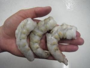 Mexican X-Jumbo Shrimp, 2 Pound Bag