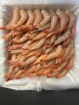 Wild-Caught Jumbo Shrimp from Chesapeake Crab Connection
