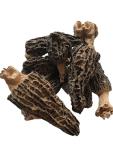 Dried Morel Mushrooms by Great Lakes Treats, 0.5oz