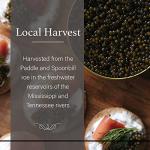 Olma American Paddlefish Black Caviar, 8.8 oz