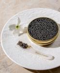 Premium Beluga Hybrid Black Caviar 4.4 Oz