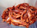 Kovafood Jumbo Sun-Dried Shrimps 3.5oz
