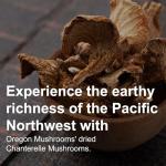 Dried Chanterelle Mushrooms - Rich Buttery Flavor