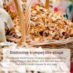 Dried Chanterelle Mushrooms - All Natural Flavor