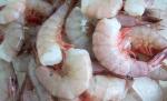 Jumbo Key West Pink Shrimp, 1 Pound