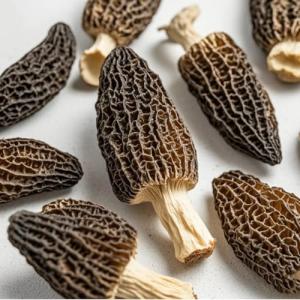 Dried Morel Mushrooms (Morchella Conica), 2 oz Morel Mushrooms Dehydrated Delicacies Nourishing Morchella Conica羊肚菌Shipping from California, U.S.