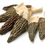 Dried Morel Mushrooms for Gourmet Cooking