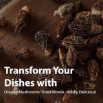 Dried Morel Mushrooms for Gourmet Cooking