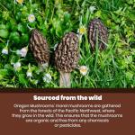 Dried Morel Mushrooms for Gourmet Cooking
