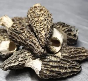 Wild Harvested Morel Mushrooms, 1 lb