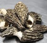Wild Harvested Morel Mushrooms, 1 lb