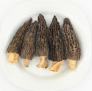 Premium Dried Wild Morel Mushrooms – 2 Pack