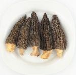 Premium Dried Wild Morel Mushrooms – 2 Pack